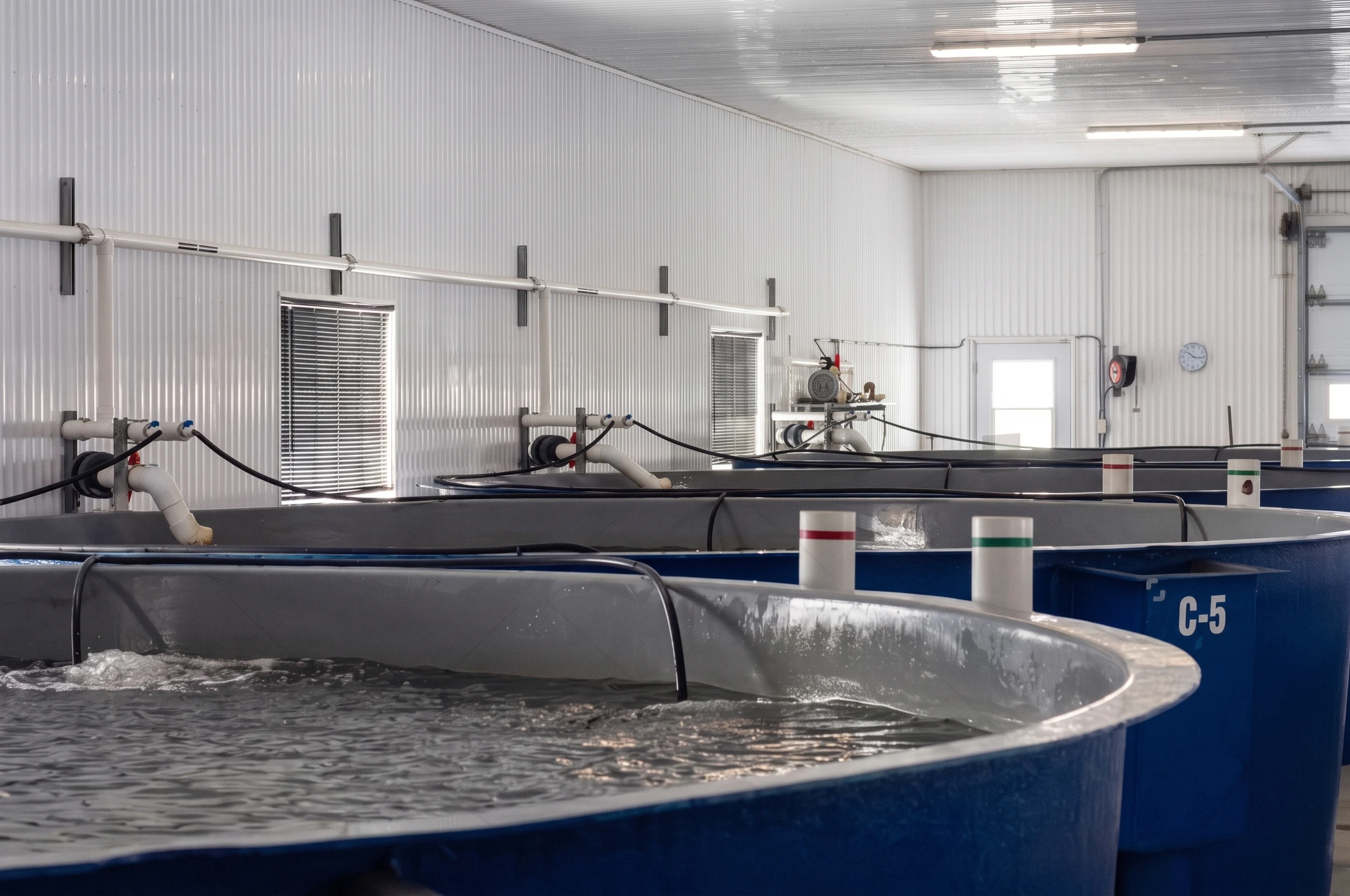 Circular culture tanks with moving water inside a warehouse, with piping and recirculation equipment.